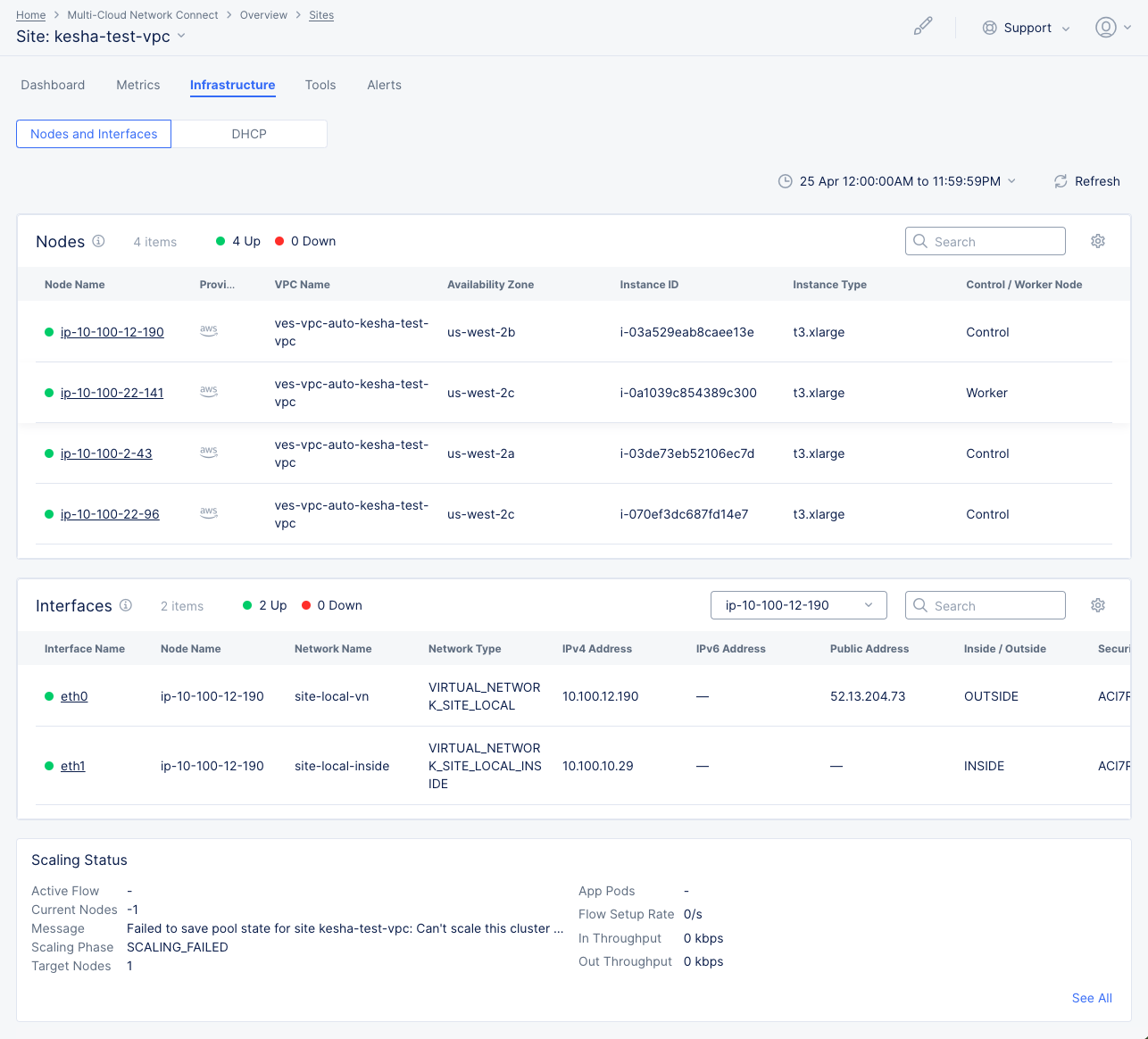 Figure: Site Infrastructure Nodes and Interfaces